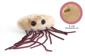 e-coli